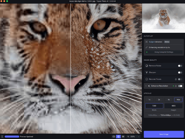 Topaz Labs AI
