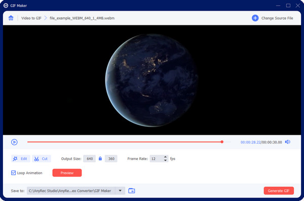AnyRec GIF'i Dışa Aktar