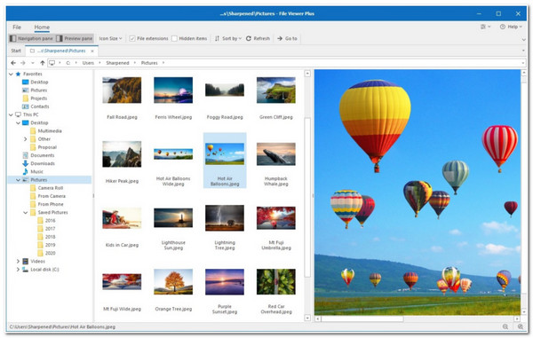 Interfaccia visualizzatore di file Plus