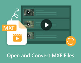 開啟並轉換 MXF 文件