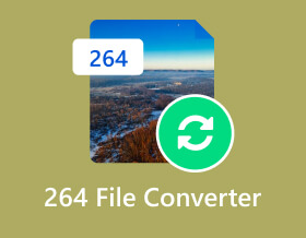 264 File Converter