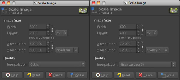 Imagen de escala de cambio de tamaño de GIMP