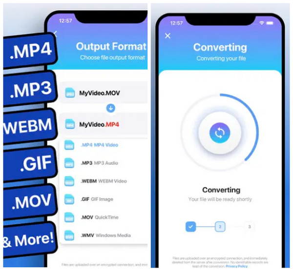 Video Converter 264 文件转换器