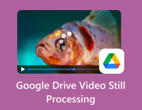 Google Drive Video Still Processing