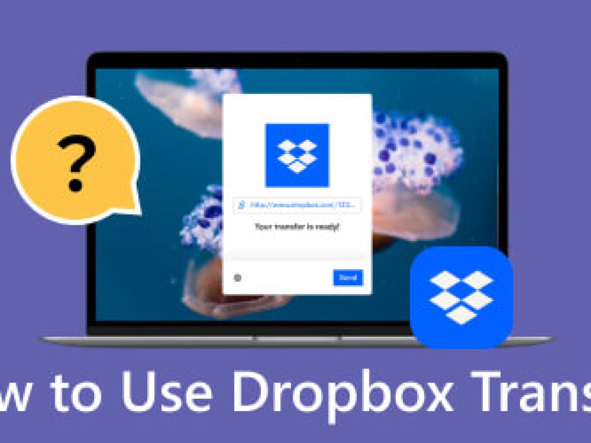 Dropbox Transfer란 무엇인가요? 대용량 파일을 전송하는 방법은 무엇인가요?
