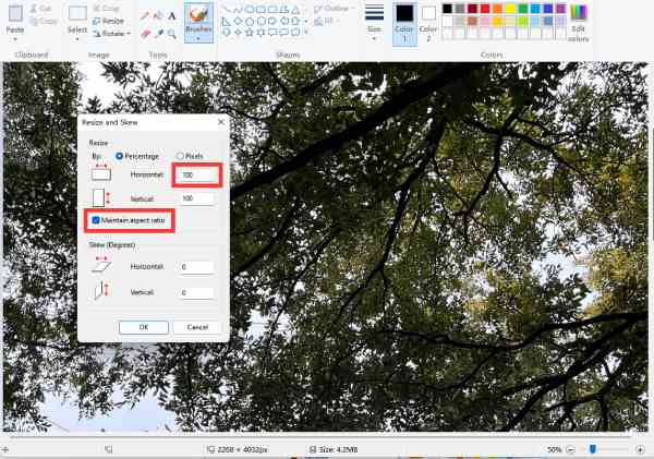 Agrandir l'image dans Paint