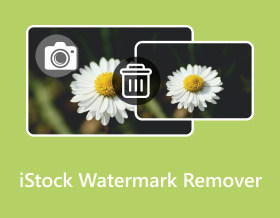 iStock 水印去除器