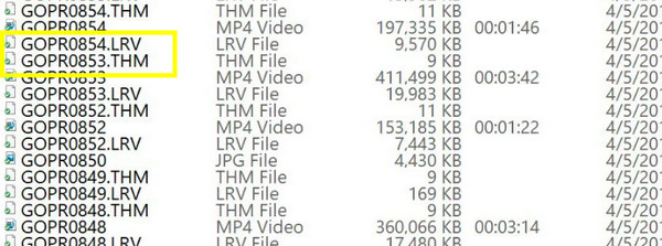 GoPro LRV THM datoteka