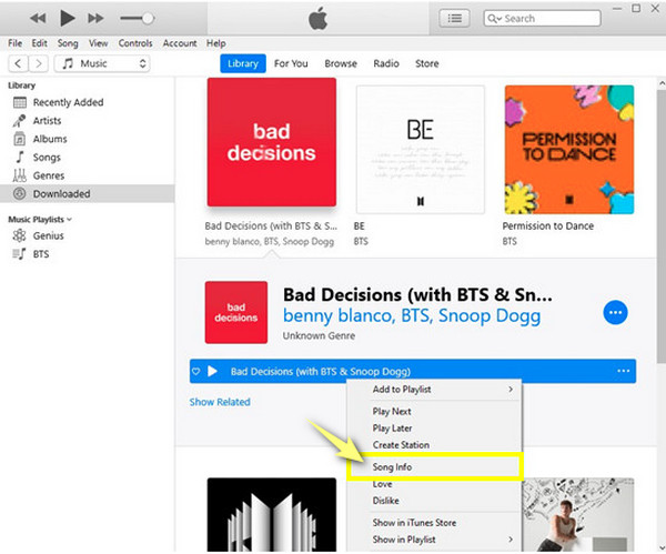 ข้อมูลเพลงใน iTunes