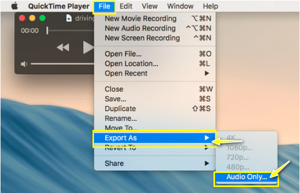 Quicktime Export Audio