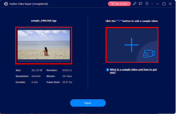 AnyRec Hasarlı ve Örnek Videolar Ekle