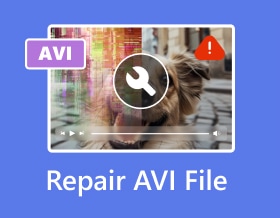 Reparer Avi-fil