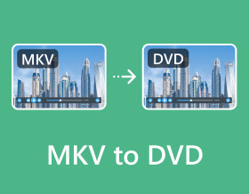Mkv'yi DVD'ye Dönüştürme