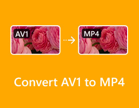 將 Av1 轉換為 Mp4