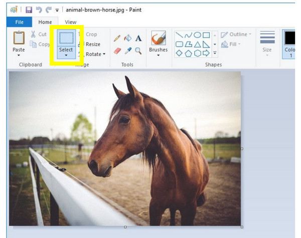 Use Microsoft Paint