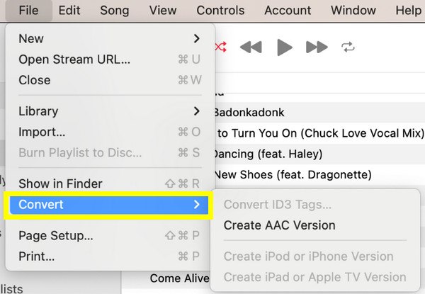 Apple Music: AAC-Version erstellen
