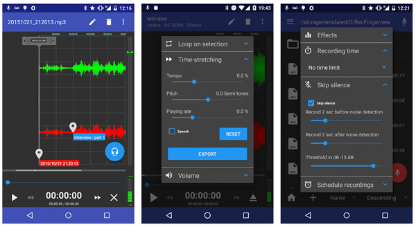 Enregistreur audio RecForge II