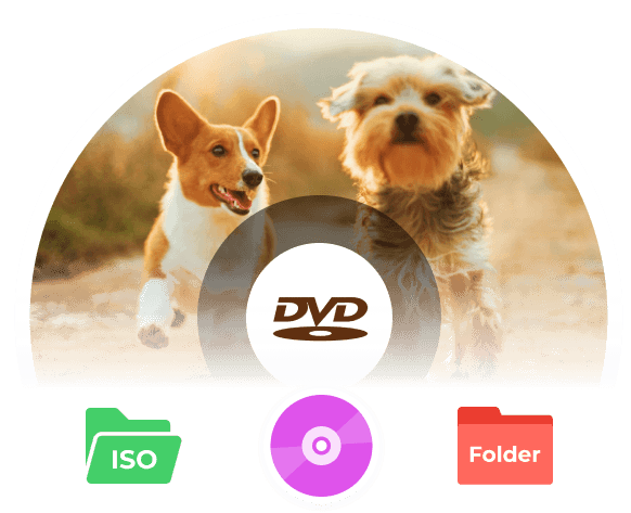 הפעל DVD