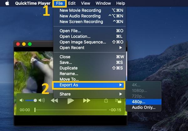 Export MOV QuickTime Player