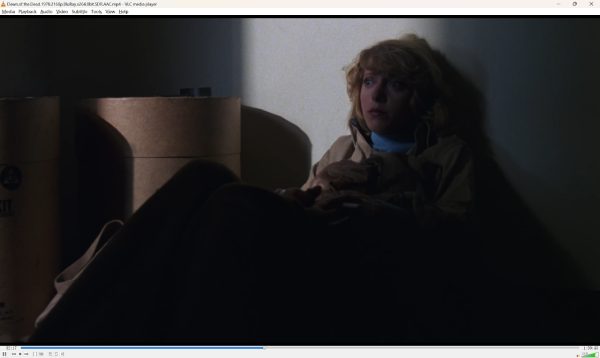 Riproduci DVD VLC