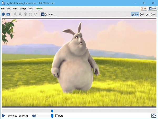 Bestandsviewer Lite Webm-bestanden afspelen