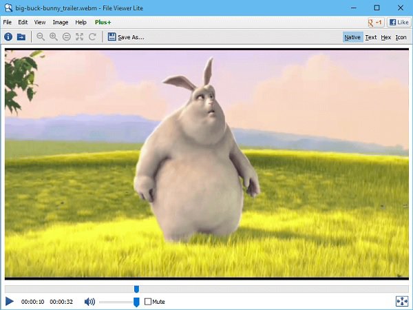 File Viewer Lite Play Файлы Webm