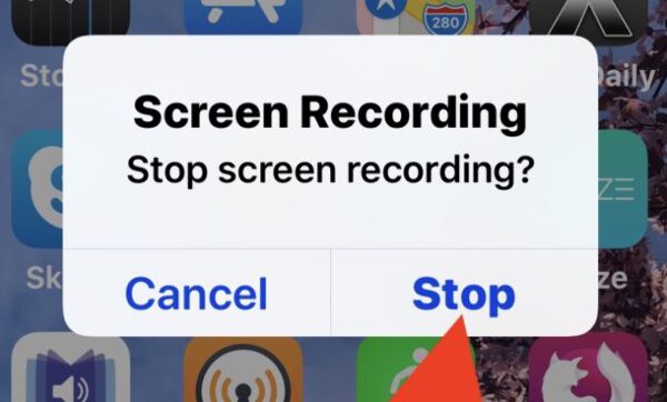 आईपैड स्टॉप स्क्रीन रिकॉर्डिंग