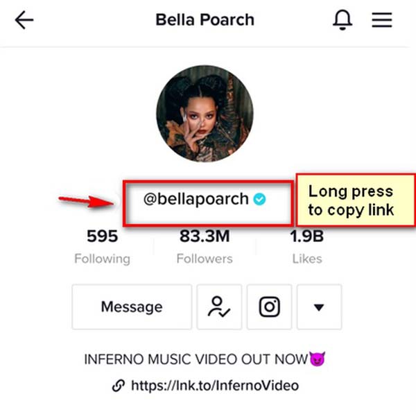TikTok User Name Copy Link