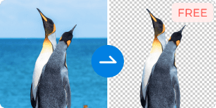 Gratis Background Remover