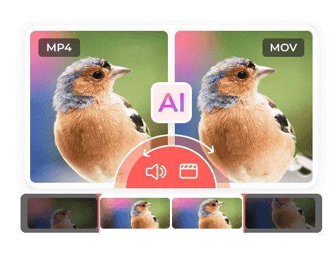 Video Converter bild