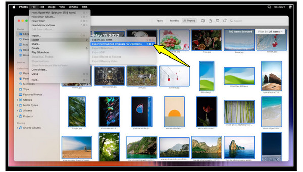 Descargar iCloud Hotos en Mac