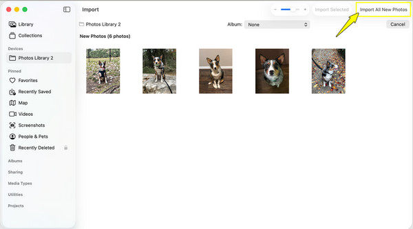 Importer alle nye billeder fra iPhone til Mac med Fotos-appen