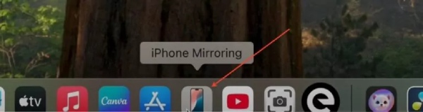Find iPhone Mirroring