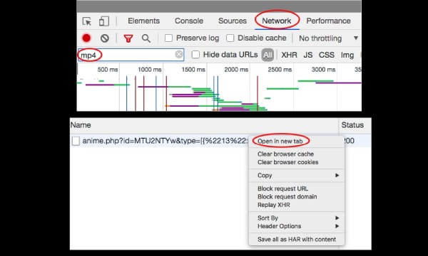 Find MP4 File