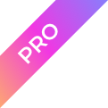 Pro