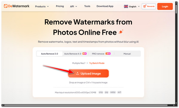 Uvoz fotografije DeWatermark