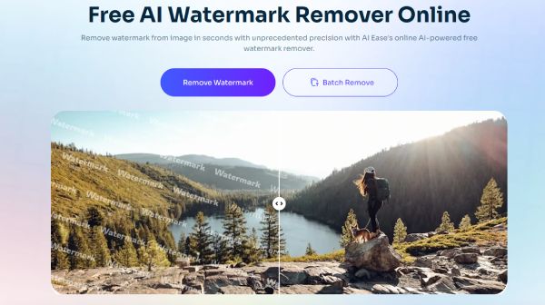 वॉटरमार्क हटाएँ WEBP AI आसानी से