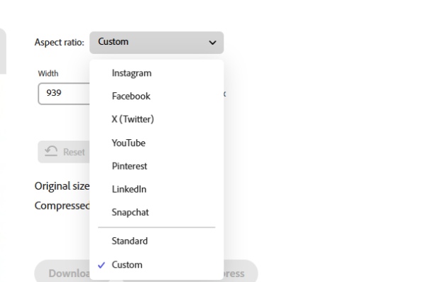 Adobe Alterar outros parâmetros