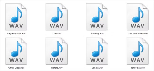 WAV 文件