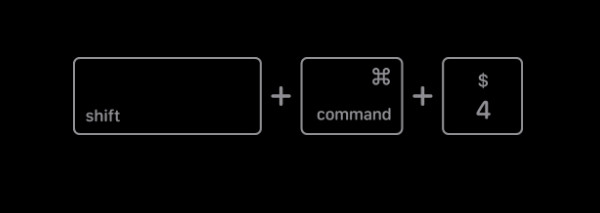 Mac 版 Minecraft 中选定区域截图