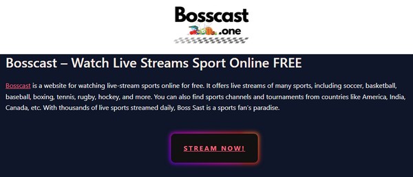 Bosscast hoofdinterface