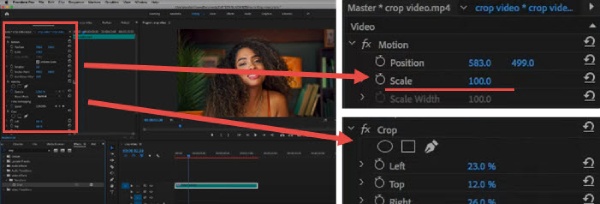 パラメーターの調整 プレミア