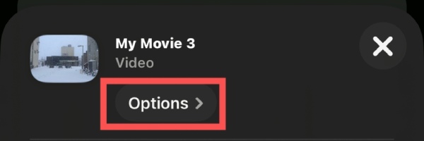 iMovie의 비디오 옵션