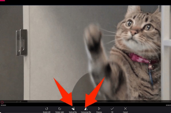 Flip Video Windows