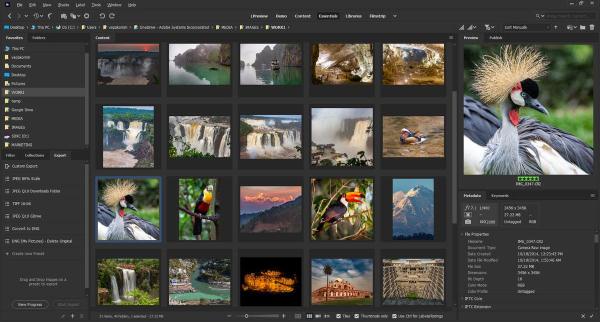 Adobe Bridge