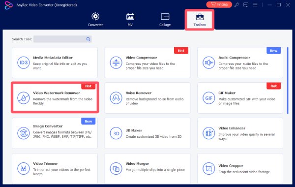 Eliminare filigran video Anyrec