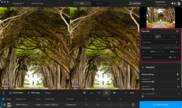 Topaz AI Yükseltilmiş