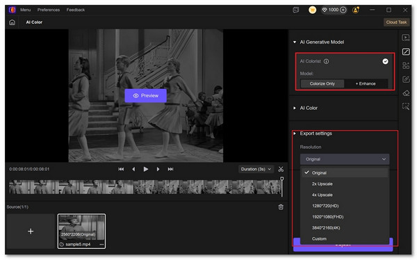 Hitpaw Video Colorizer