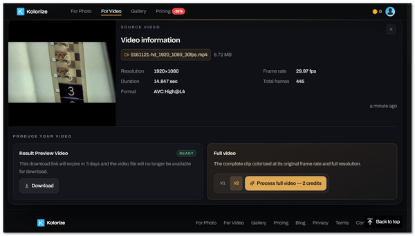 Coloratore video Kolorize