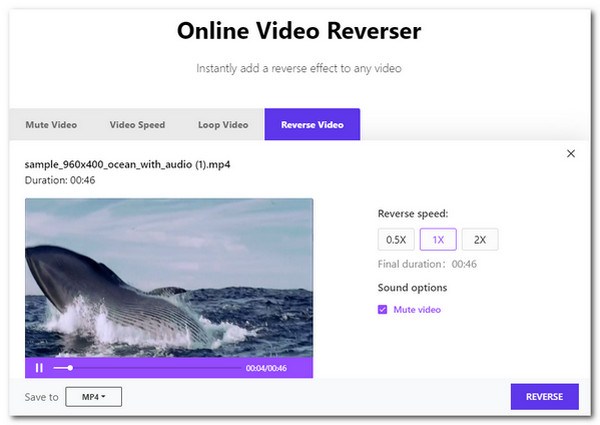 Video Reverser Media.io